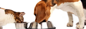 The Best Pet Food for Dogs and Cats